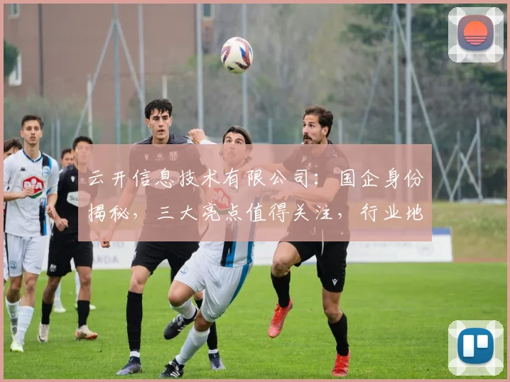 云开信息技术有限公司：国企身份揭秘，三大亮点值得关注，行业地位引关注