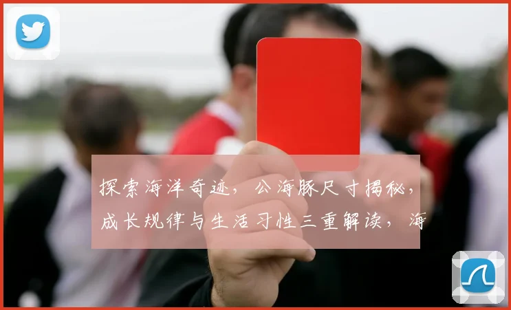 探索海洋奇迹，公海豚尺寸揭秘，成长规律与生活习性三重解读，海洋生物科普必备