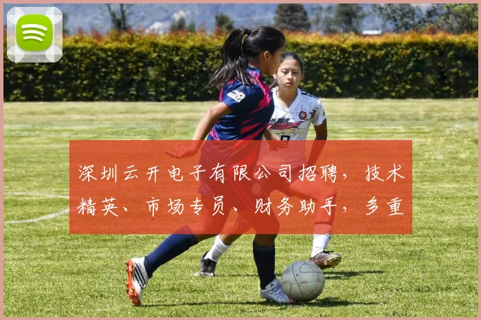 深圳云开电子有限公司招聘，技术精英、市场专员、财务助手，多重职位等你来